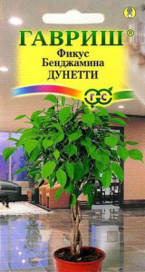 Фикус Бенджамина Дунетти  купить