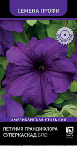Петуния Суперкаскад F1 Блю грандифлора купить