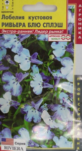 Лобелия кустовая Ривьера Блю Сплэш  купить