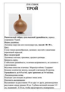 Лук Трой фото А5 купить