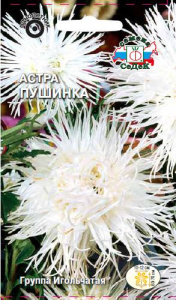 Астра Пушинка  купить
