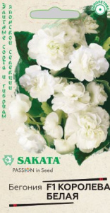 Бегония Королева белая F1  вечноцв.  Саката  купить