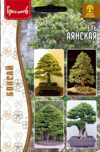 Ель Аянская купить