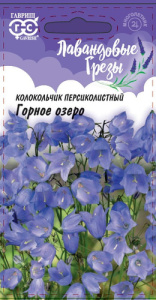 Колокольчик Горное  озеро Лавандовые грезы  купить