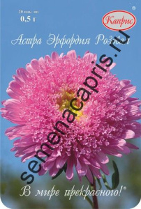 Астра Эрфордия розовая/1шт купить