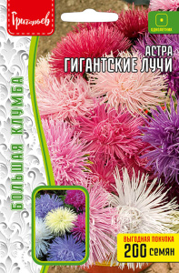 Астра Гигантские Лучи смесь купить