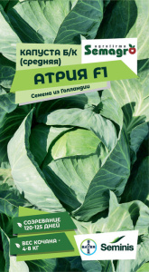Капуста Атрия F1  купить