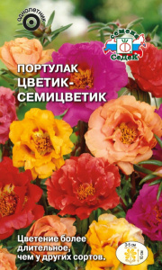 Портулак Цветик-семицветик купить