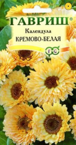 Календула Кремово Белая  купить