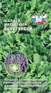 Шалфей мускатный Вкус грибов  купить