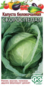 Капуста Скороспелая (ранняя)  купить