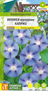 Ипомея пурпурная Каприз  Вьющиеся растения купить