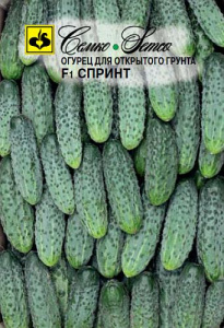 Огурец Спринт F1  купить