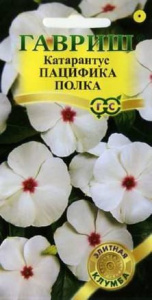 Катарантус Пацифика Полка  купить