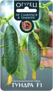 Огурец Тундра F1 купить