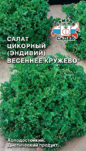 Салат Весеннее Кружево (эндивий)  купить