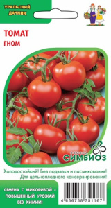 Томат Гном  (Симбиоз) купить