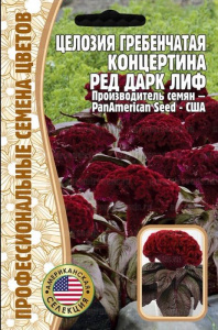 Целозия Концертина Ред Дарк Лифгребенчатая (США)  купить