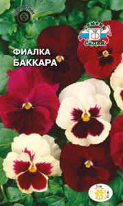Фиалка Баккара купить