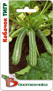 Кабачок Тигр  купить