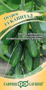 Огурец Капитал автор. купить