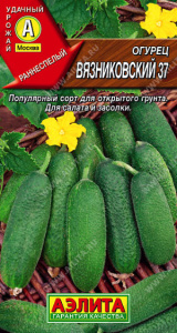 Огурец Вязниковский 37 купить