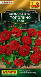 Цинния Тополино алая купить