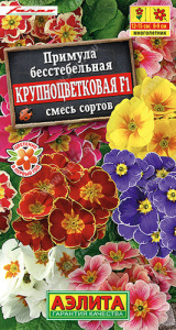 Примула Крупноцветковая F1, смесь  купить