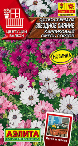 Остеоспермум Звездное сияние карликовый, смесь сортов купить