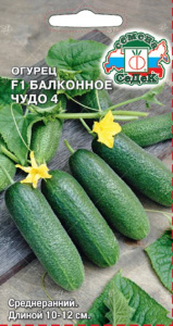 Огурец Балконное Чудо 4  F1 купить
