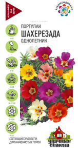 Портулак Шахерезада, смесь  купить