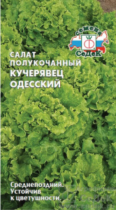 Салат Кучерявец Одесский  купить