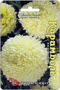 Астра Карамболь Золотой  купить