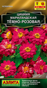 Цинния мариландская Тёмно-розовая /Золотая серия купить