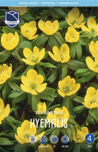 Эрантис hyemalis (1х15шт) купить