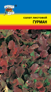 Салат Гурман листовой  купить