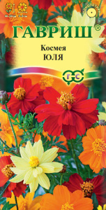 Космея Юля карликовая   купить