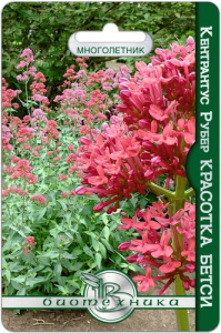 Кентрантус рубен Красотка Бетси  купить