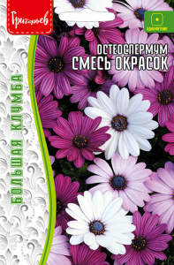 Остеоспермум Смесь Окрасок купить