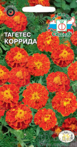 Тагетес Коррида  купить