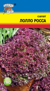 Салат Лолло Росса листовой купить
