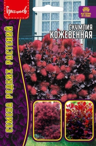 Скумпия Кожевенная купить