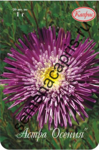 Астра Осения/1шт купить