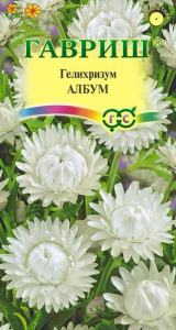 Гелихризум Албум  купить