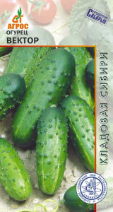 Огурец Вектор 10шт купить