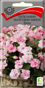 Бальзамин Афина F1 Юнона махр. купить