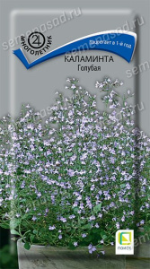 Каламинта Голубая купить