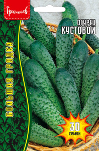 Огурец Кустовой купить