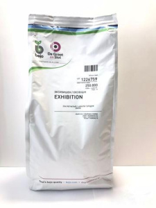 Лук Эксибишен 250 000 шт купить