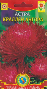 Астра Краллен Ангора  купить